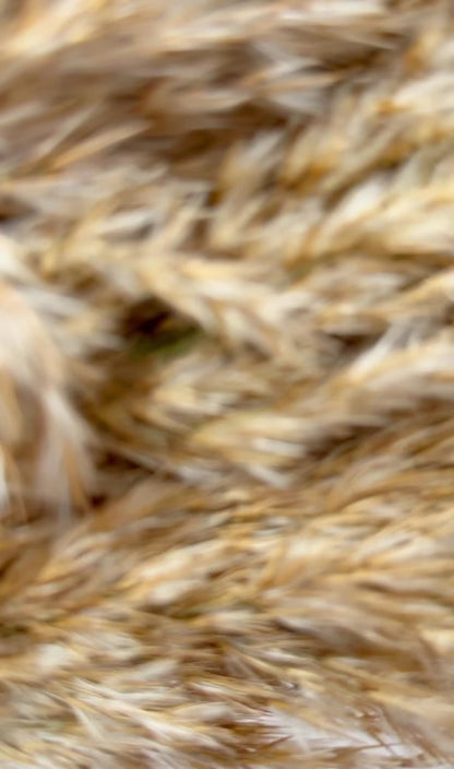 Teddybear, Schnullerkette, Kinderwagenkette und Greifring Rassel